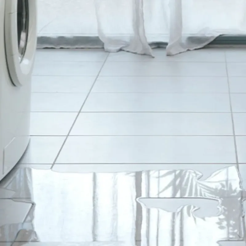 Appliance Leak Cleanup in Roscoe, IL