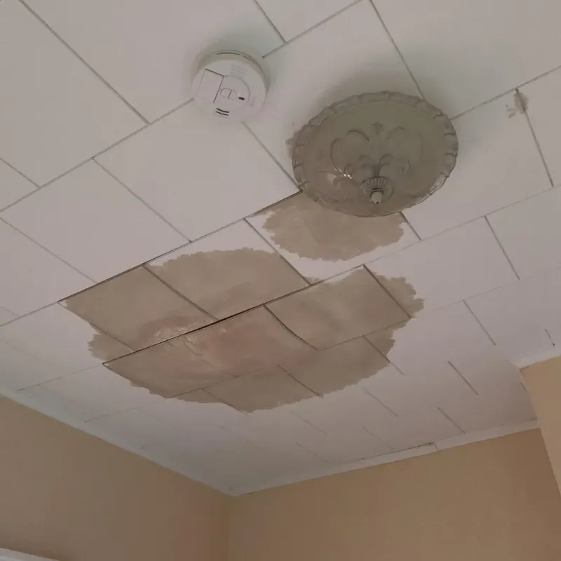 Ceiling Water Damage Repair in Roscoe, IL