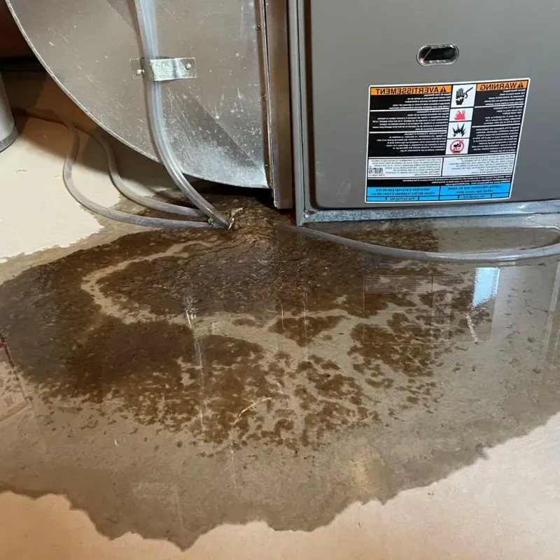 Pipe Burst and Leak Restoration in Roscoe, IL
